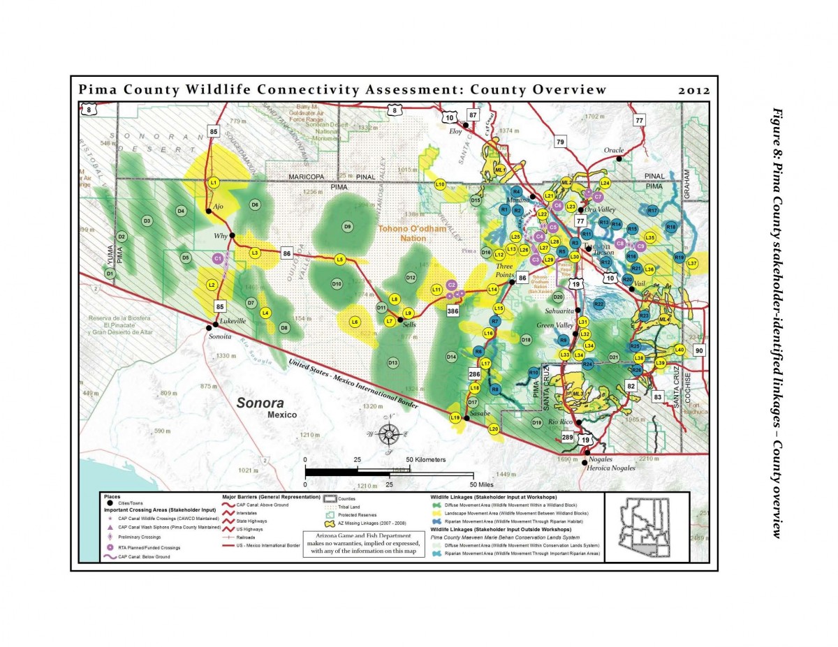 Finding Wildlife Linkages - Coalition for Sonoran Desert Protection